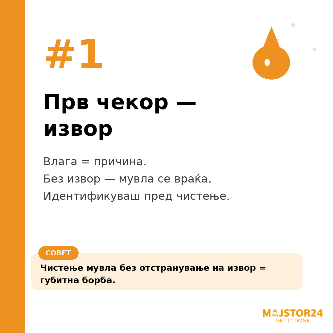 Имаш мувла во домот? - слика 2