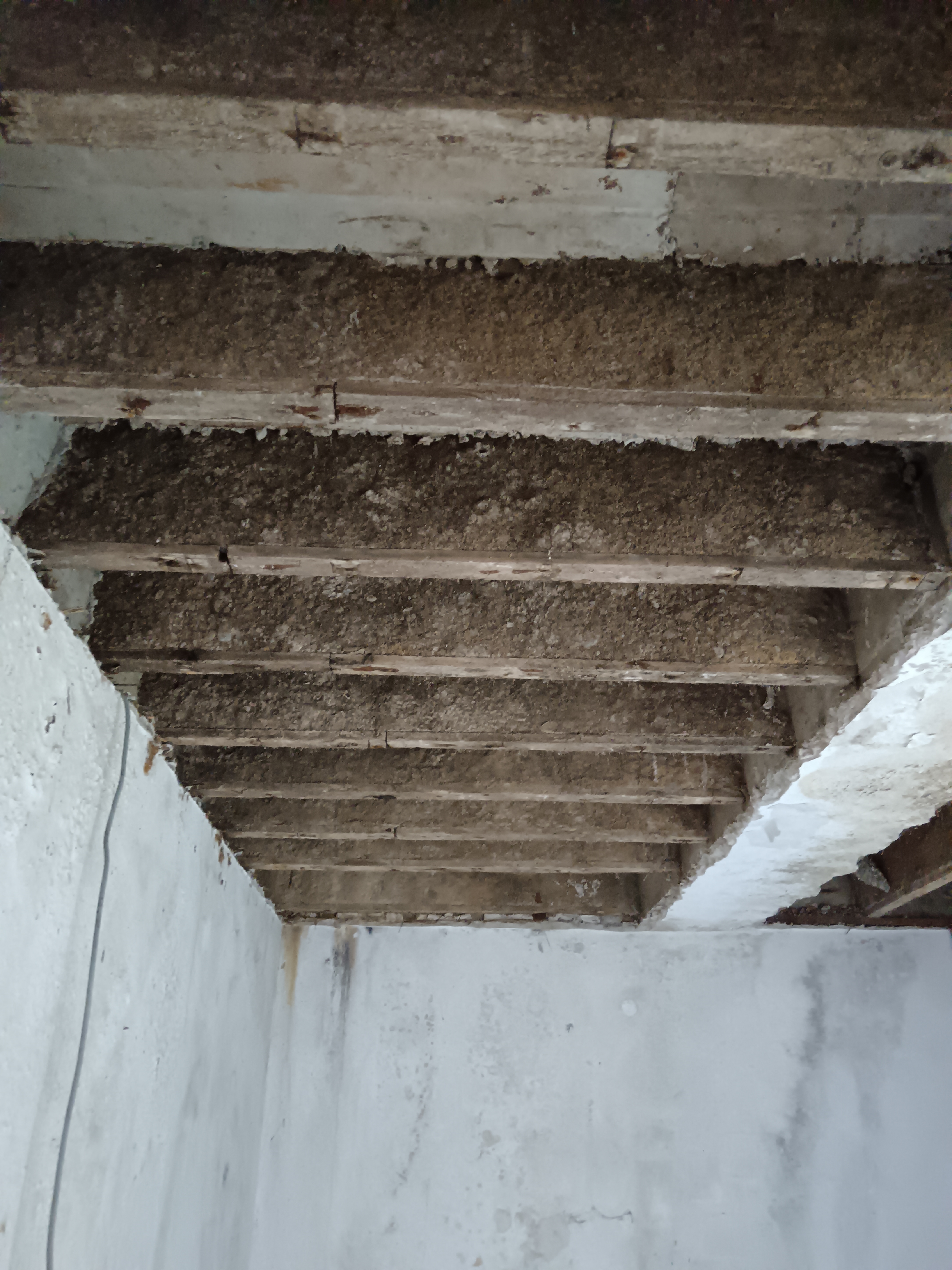 Portfolio image 24