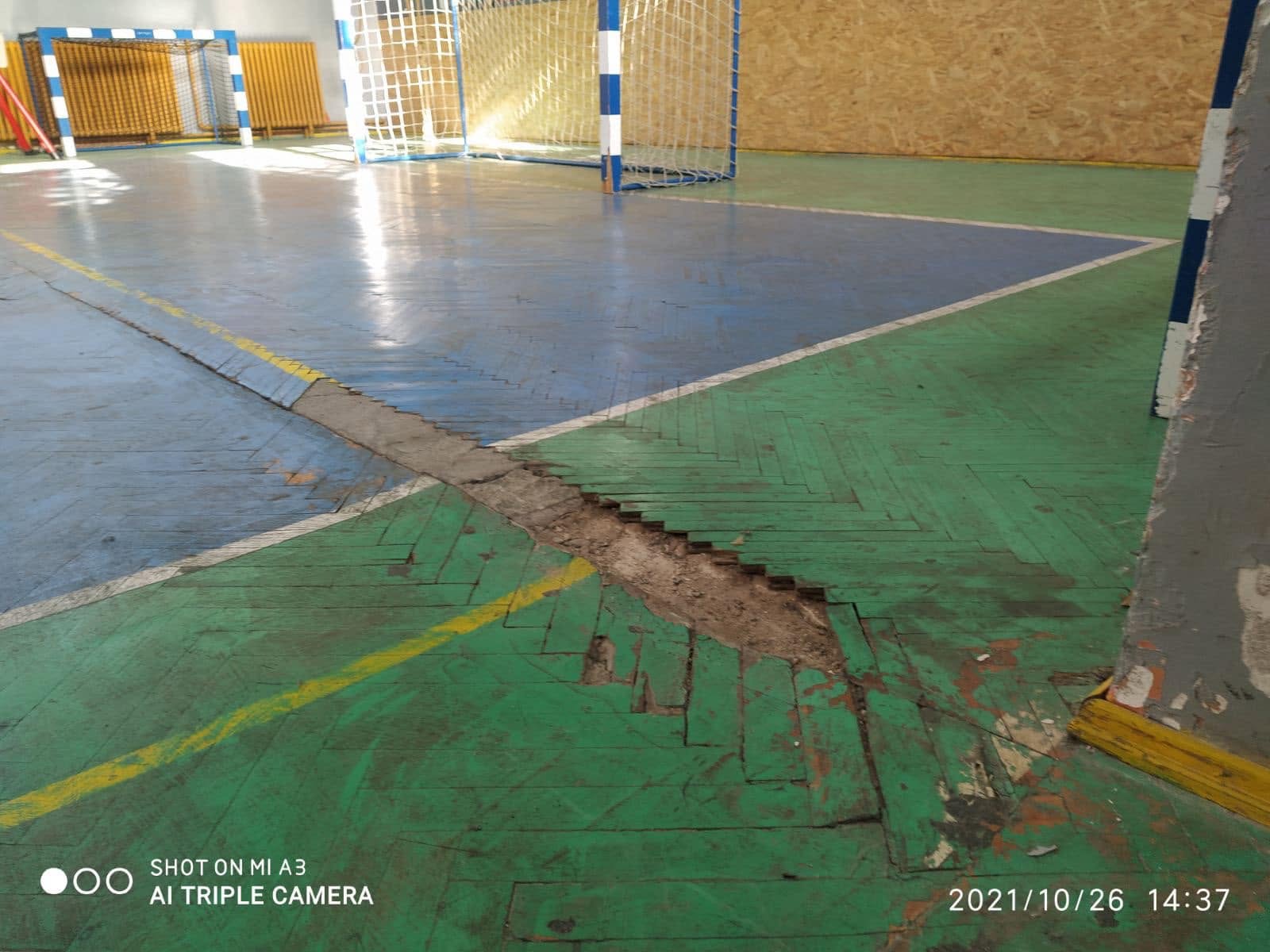 Portfolio image 1